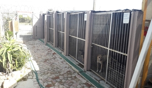 The cost of running BARC