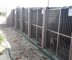 The cost of running BARC