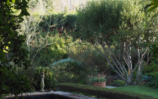 sara_abbott1_1598857992