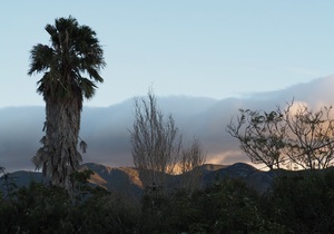 Studio spot in the heart of Stanford