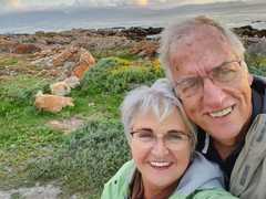 Seemeeu 2020: SPANNING EN DIE HANTERING DAARVAN IN HIERDIE TYD