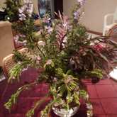 Flowers - Hairwave - Agulhas