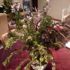 Flowers - Hairwave - Agulhas Flowers - Hairwave - Agulhas