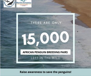 Partner With Global Leadership Adventures