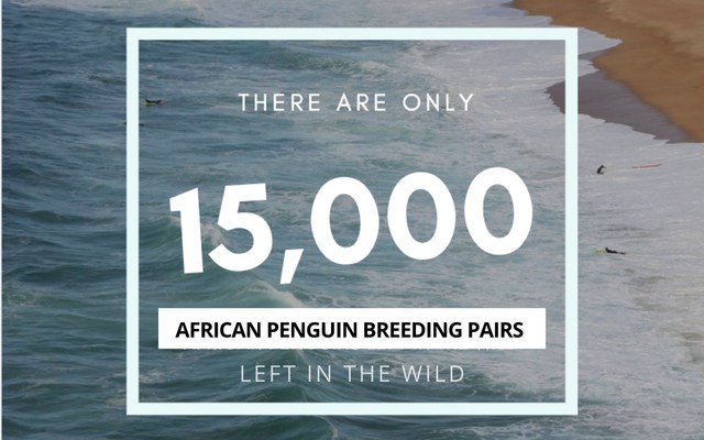 118701090_10158645615232520_523344115768975386_o_1599203824