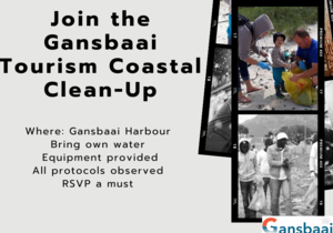 19 September 2020 - Gansbaai Tourism Coastal Clean-Up