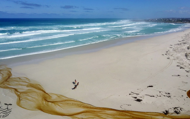 Gansbaai & Pearly Beach Horse Trails