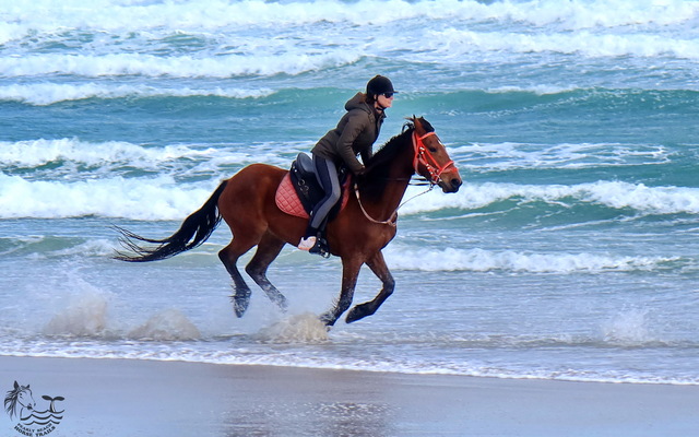 Gansbaai & Pearly Beach Horse Trails