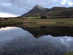 Wine and Co - The Savage Wines...