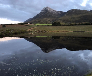 Wine and Co - The Savage Wines...