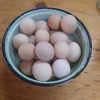 Vogel Vallei Farm Stall - Farm Fresh Egg