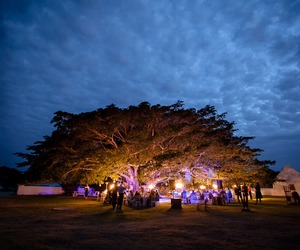 Weddings at De Hoop Collection
