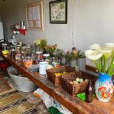 Plaaswinkel at Beloftebos - Beloftebos Farm cottages - Stanford