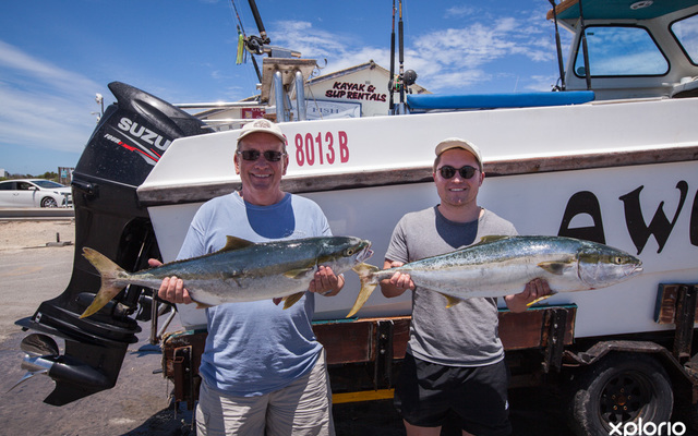 struisbaai_awesome_charters_fish_caught_close_up_1548145206_1600236514