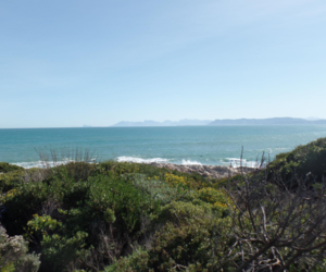 535 m² Residential Vacant Land For Sale In Gansbaai - R1,690,000