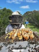 Visiting or passing by Stanford this weekend? 