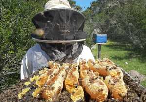 Visiting or passing by Stanford this weekend? 