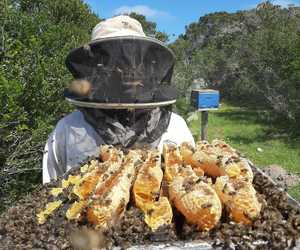 Visiting or passing by Stanford this weekend? 