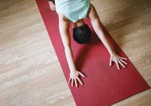 Yoga Classes Are Back!