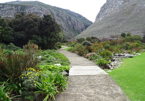 Thursday Talks at Harold Porter