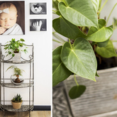 Hermanus - Dr Adeléne Esterhuizen Gynaecologist and Obstetrician - Entrance of Rooms