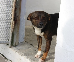 NEVER SAY NEVER: ZENZI RESCUED AFTER MANY BLUSTERY MONTHS