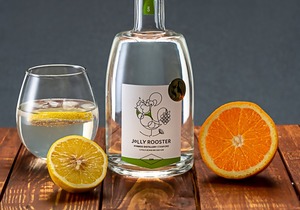 Citrus Bomb Infuses Gin (43% Vol.)
