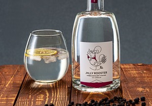 Just Juniper Gin (43% Vol.)