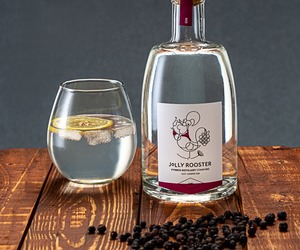 Just Juniper Gin (43% Vol.)