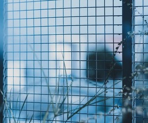 Electric Fencing Installations