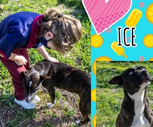 Ice is looking for her 'forever' home​​​​​​​!