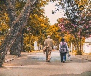 Alzheimer's - Prevention Possibilities