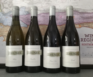 Wine and Co - Wine from Sondagskloof...