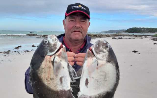 Galjoen_at_the_Dam_1602842658