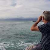 The beautiful areas close to Amazing Grace B&B - Gansbaai