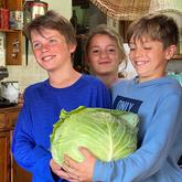 Harvest time at Beloftebos! - Beloftebos Farm cottages - Stanford