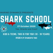 Shark School - 27 October 2020