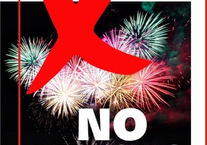 NO FIREWORKS PLEASE