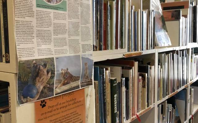 123908800_1743560465811385_7936323855692214731_o_1604902549