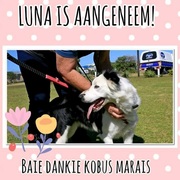 Kobus Marais Adopted Luna