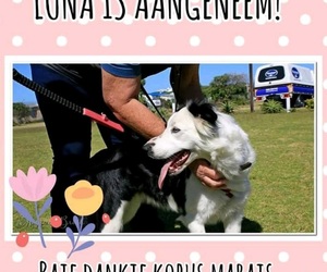Kobus Marais Adopted Luna