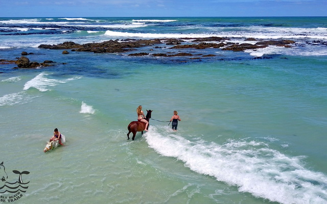 Gansbaai & Pearly Beach Horse Trails