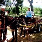 Beloftebos 10 jaar gelede - twee legendes Katy en Ou Jors... kom deel in die Beloftebos familie. Laaste naweek in huisies voor begin van trouseisoen! - Beloftebos Farm Cottages - Stanford