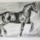 Drawing: SOLD - Sara Abbott Studio - Stanford