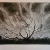 Drawing: SOLD - Sara Abbott Studio - Stanford