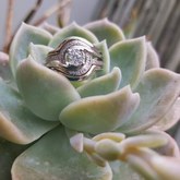 Ring - Tanzanites and Diamonds of Hermanus - Hermanus