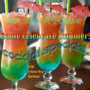 Oppidek Summer Celebration Party - 28 November 2020