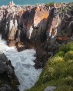 Most Amazing Place - Gansbaai!