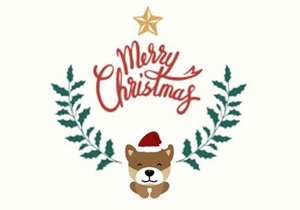 SAWS Christmas Table - 5 December 2020