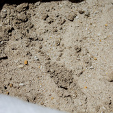 Gansbaai -  Sizisa Ukhanyo Trading 410 (Pty) Ltd - Sand